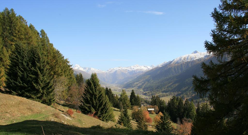 Hotel-Restaurant Drei Tannen Bellwald Dış mekan fotoğraf